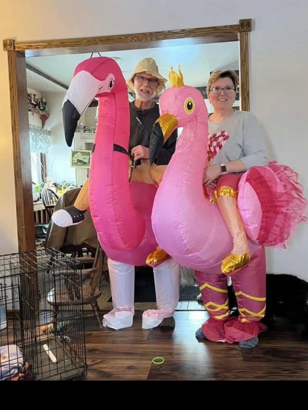 Adult Inflatable Pink Flamingo Costumes
